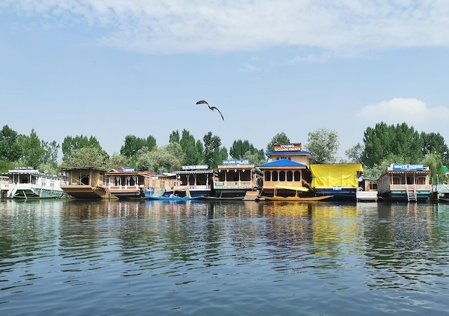 斯利納加 Srinagar 達爾湖水上市場 Dal Lake Floating Market
